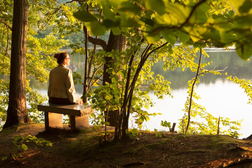 meditazione steineriana